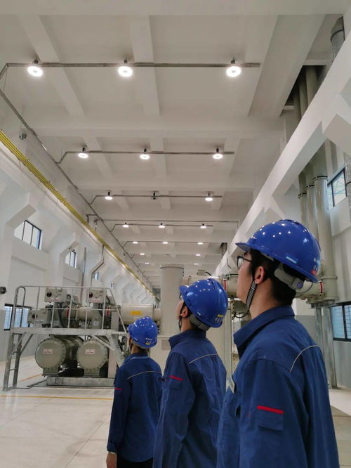 快来围观,三峡人的低碳style