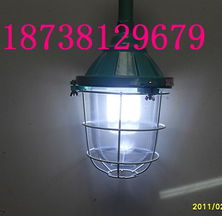 防爆冷库灯高清图片 高清大图