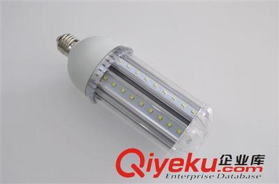 『人无信则不立』节能环保15WLED玉米灯厂家图片|『人无信则不立』节能环保15WLED玉米灯厂家产品图片由深圳市国惠照明器材公司生产提供-